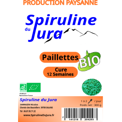 recharge Vrac Paillette BIO 252g